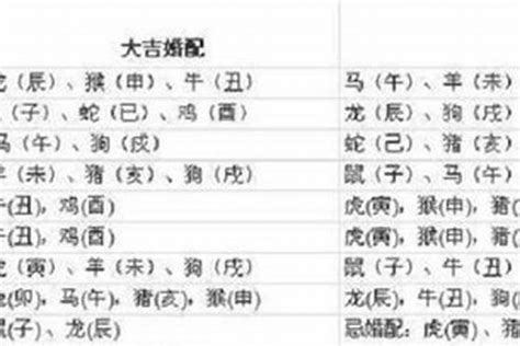 1997属什么|97年属什么 97年属什么的生肖配对